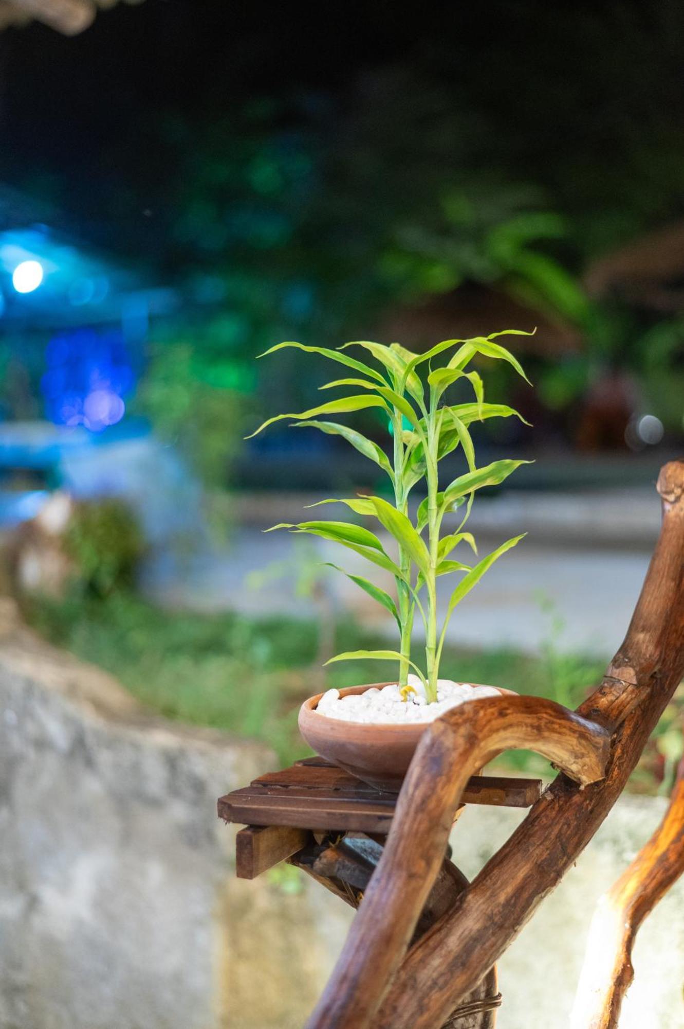 Ayurvedic Lanka Wellness Hotel Moragaswewa エクステリア 写真