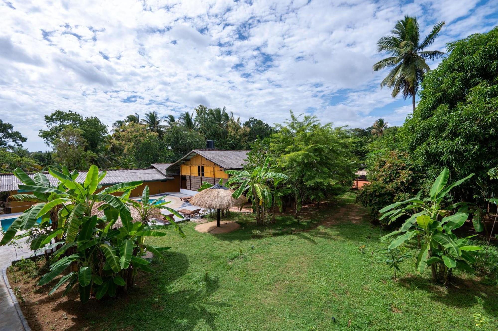 Ayurvedic Lanka Wellness Hotel Moragaswewa エクステリア 写真