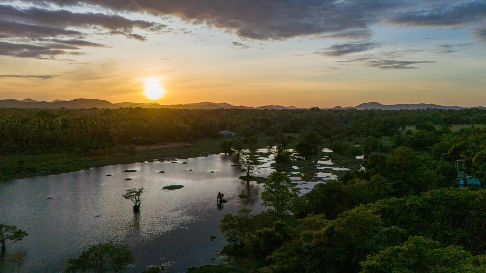 Ayurvedic Lanka Wellness Hotel Moragaswewa エクステリア 写真